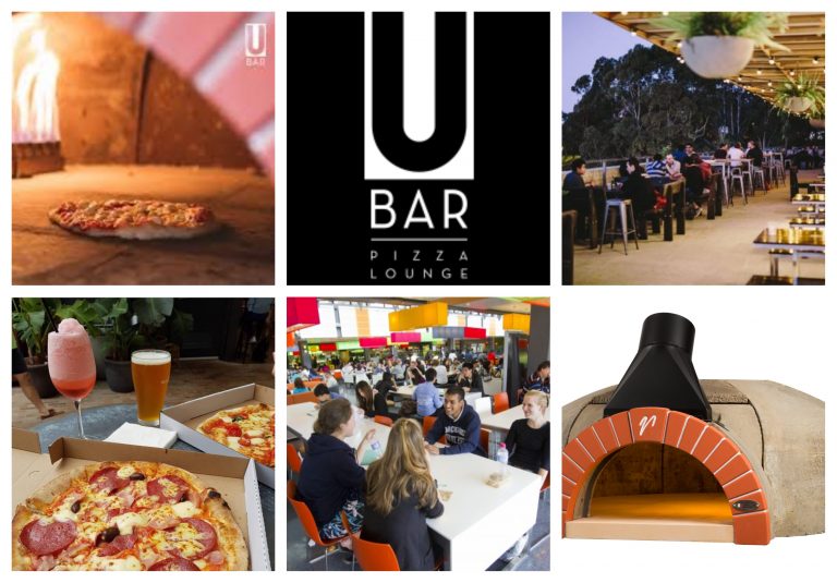 Befunky Collage 768x535 1